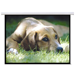 Brateck Standard Electric Projector Screen - 100" 2.0x1.5m (4:3 ratio) with Remote Control (LS)